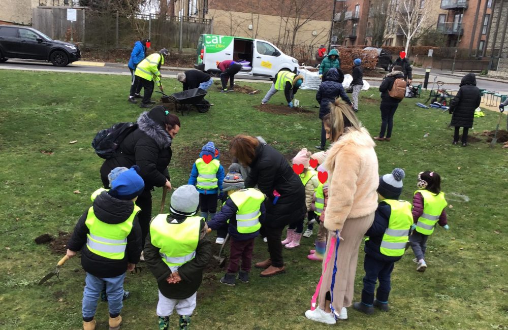 Planting a tree in the community orchard